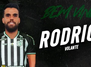 RODRIGO-SITE