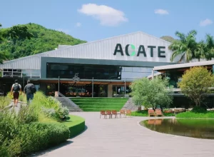 acate